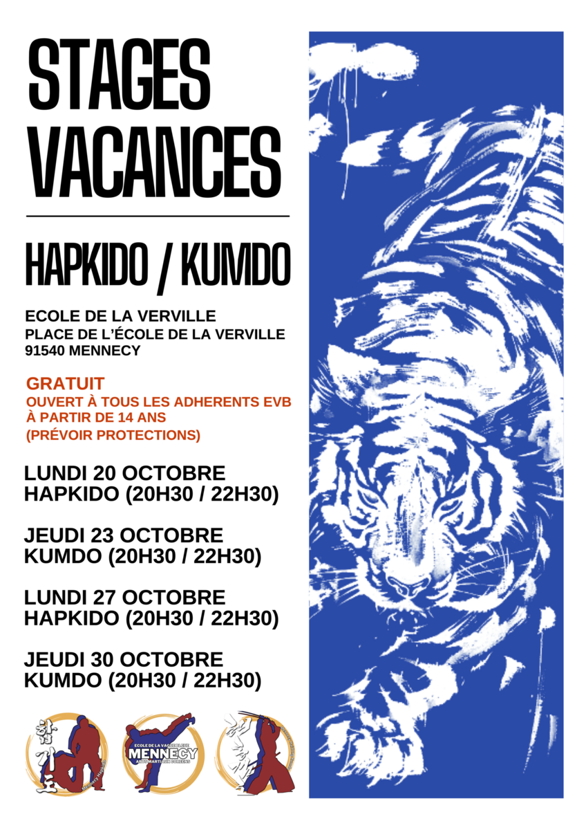 Stage Hapkido Toussaint