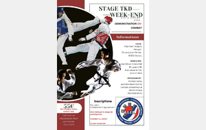 Stage Démo/Combat