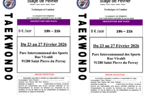Stage Taekwondo Février S1