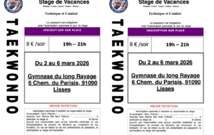 Stage Taekwondo Février S2
